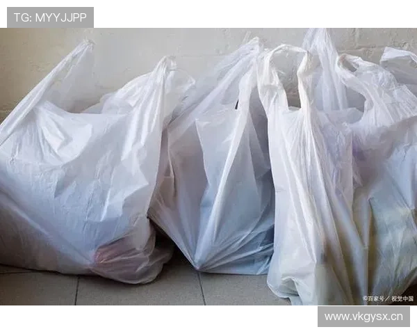 张帅提着超市塑料袋出酒店，门口那把车钥匙亮得我差点不认识世界