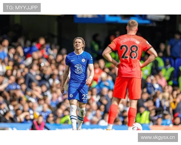 沃特金斯战术角色与数据贡献错位解析